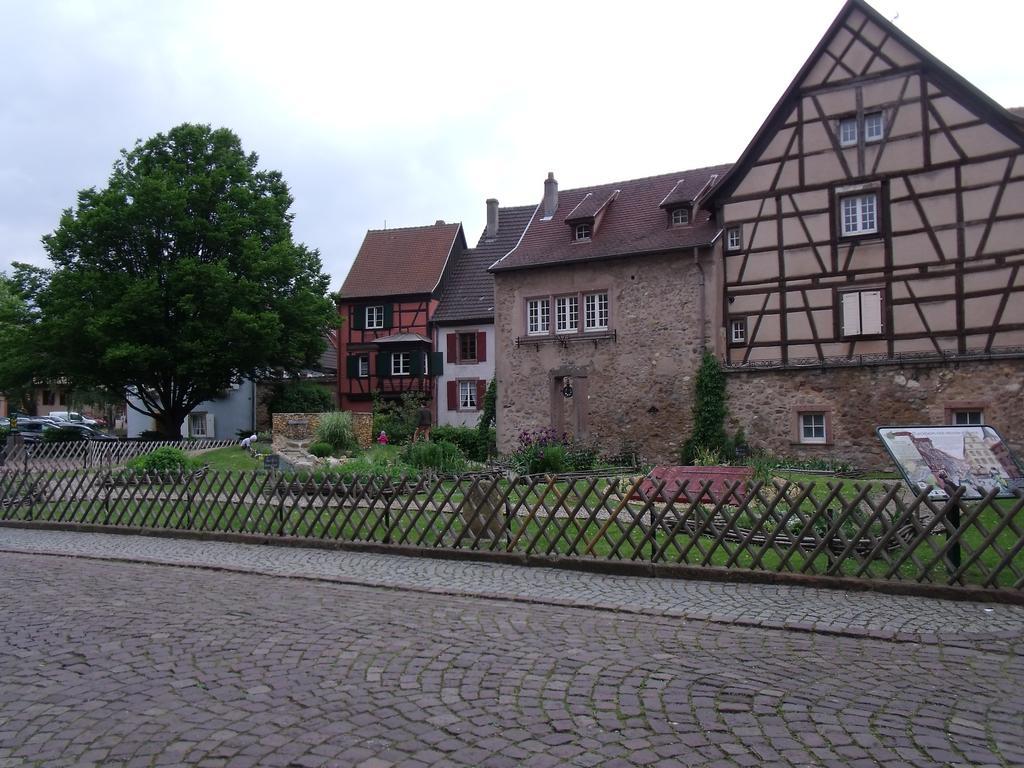 Studio La Grenouillere Turckheim Rum bild