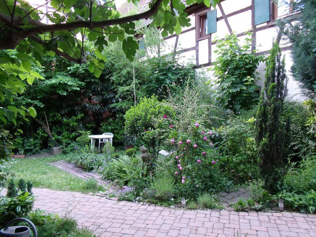 Studio La Grenouillere Turckheim Rum bild